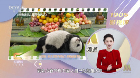 国产精品区一区二区免费